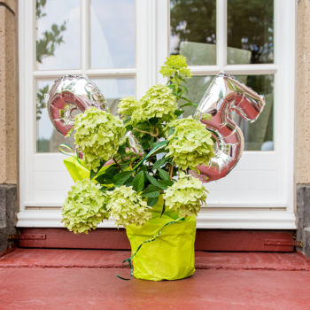 Silberhochzeit - Schloss Diersfordt - Geschenk