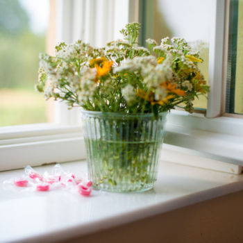 Schloss Diersfordt - Blumen am Fenster