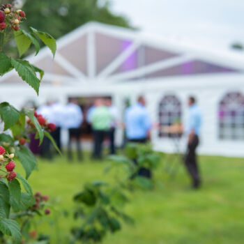 Hochzeit - Zelt - Beeren