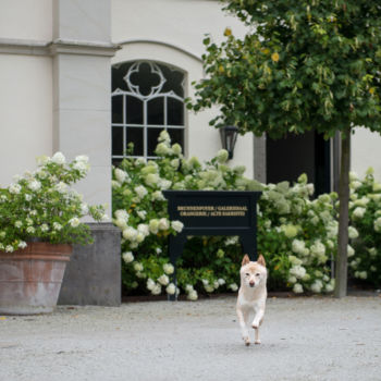 Hochzeit - Schloss Gartrop - Am Saal