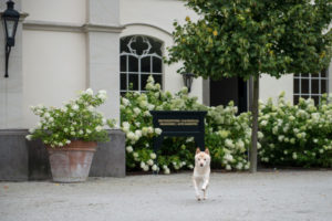 Hochzeit - Schloss Gartrop - Am Saal